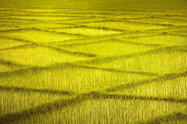 Boostez votre santé avec des compléments alimentaires naturels